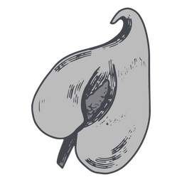 Delicate calla lily monochromatic design PNG Design