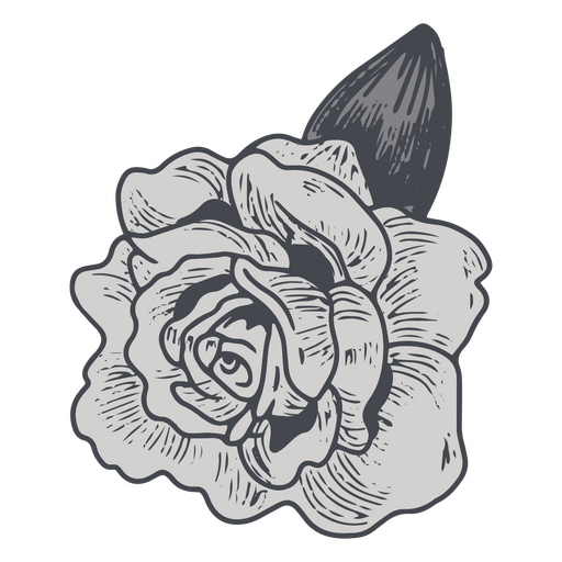 Blooming rose monochromatic design PNG Design