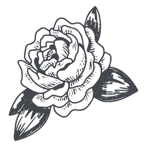 Blooming rose hand-drawn design PNG Design