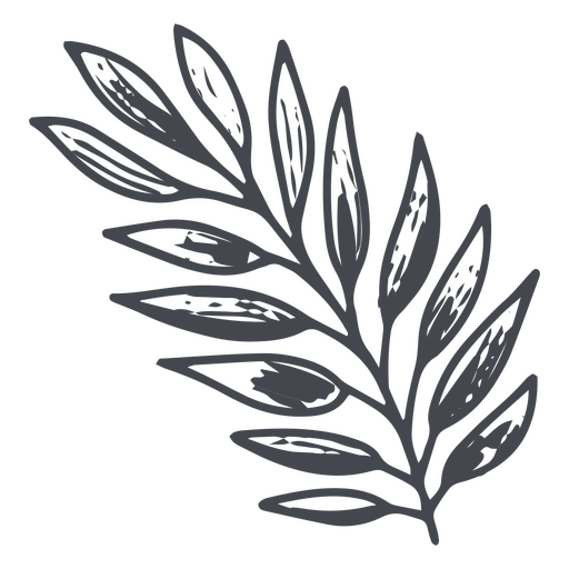 Plant branch hand-drawn design PNG Design