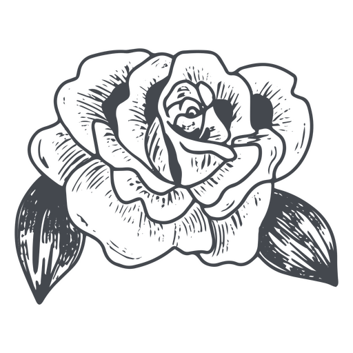 Zartes, von Hand gezeichnetes Blumendesign PNG-Design