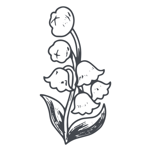Wunderschönes handgezeichnetes Tulpenarrangement PNG-Design