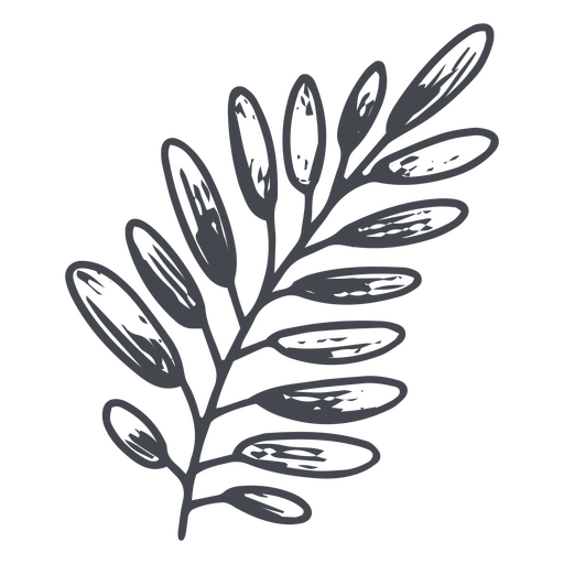Hand-drawn branch PNG Design