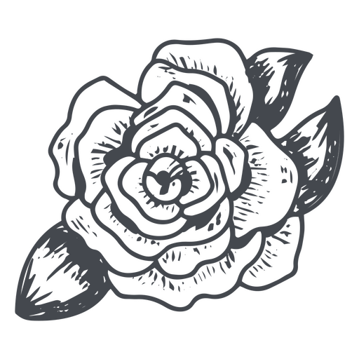 Hand-drawn rose PNG Design