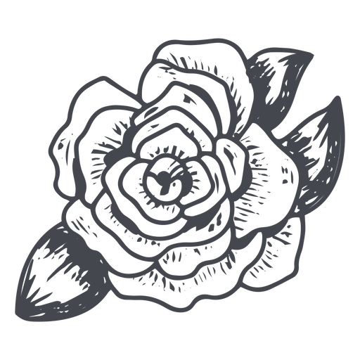 Rosa desenhada à mão Desenho PNG