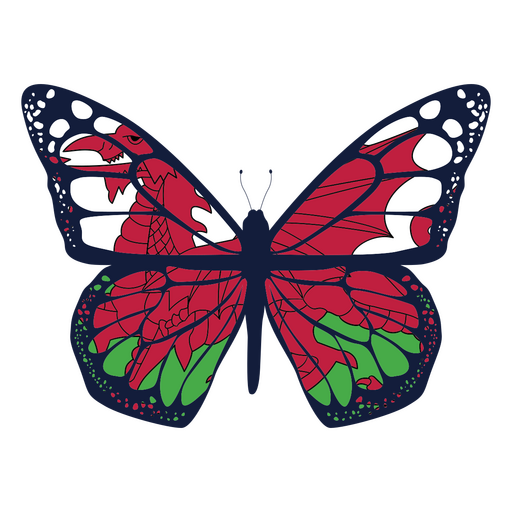 Mariposa espl?ndida con asombrosas alas coloridas Diseño PNG