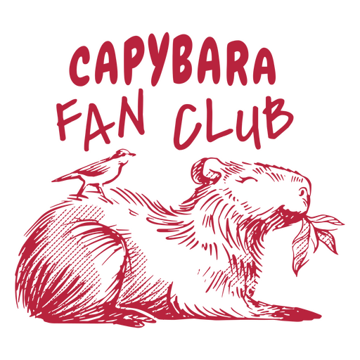 Citação desenhada à mão do fã-clube Capivara Desenho PNG