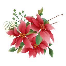 Weihnachtsstern im Aquarell-Stil PNG-Design