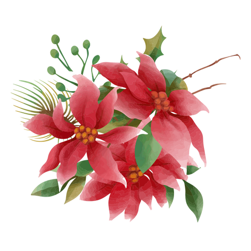 Watercolor-style poinsettia PNG Design