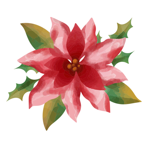 Watercolor depiction of a poinsettia PNG Design