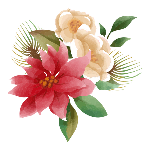 Flor de Pascua pintada con acuarelas Diseño PNG