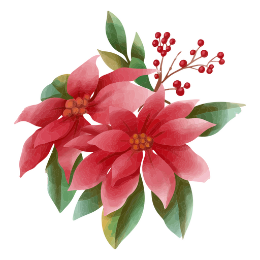 Poinsettia captured in watercolor style PNG Design