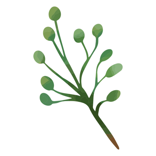 Green berry branch in watercolor style PNG Design