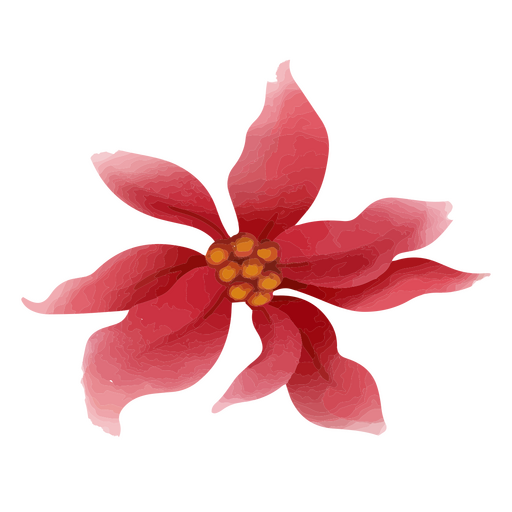 Elegante flor de pascua estilo acuarela Diseño PNG