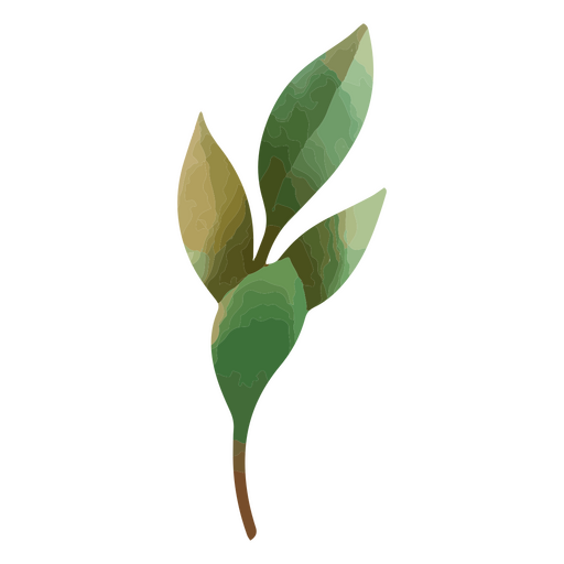 Grüne Blätter im Aquarellstil PNG-Design