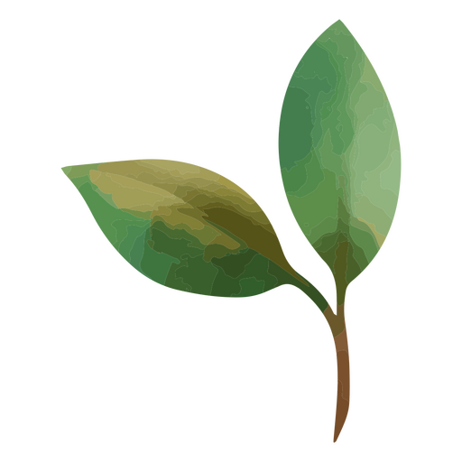 Blätter im Aquarell-Stil PNG-Design