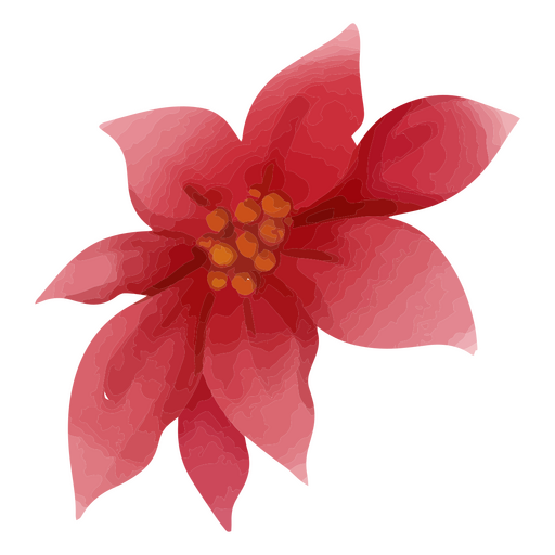 flor de pascua delicada Diseño PNG