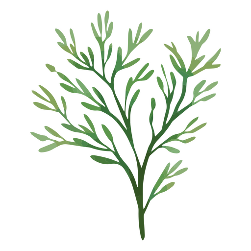 Aquarell grünlicher Zweig PNG-Design