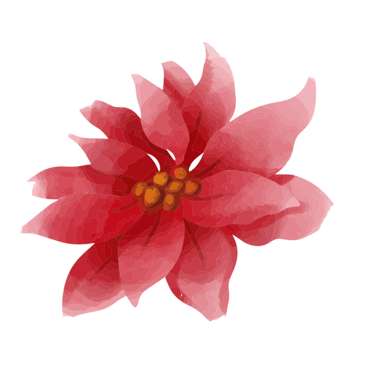 Delicate poinsettia in watercolor style PNG Design