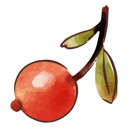 ramo de cerejeira em aquarela Desenho PNG