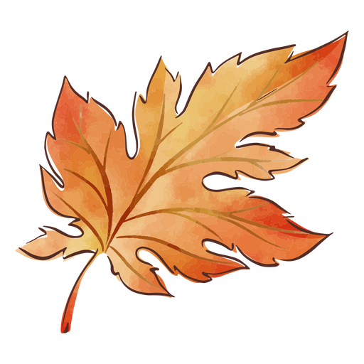 Aquarela folha de laranjeira Desenho PNG