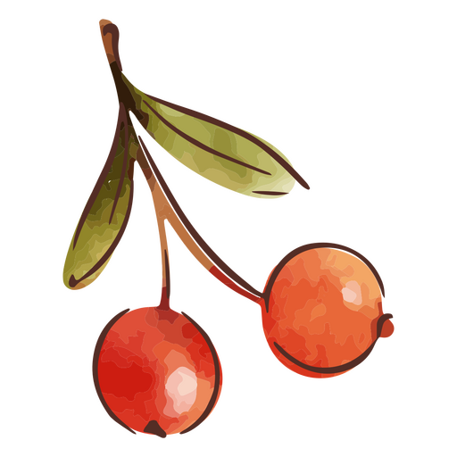 Watercolor depiction of a cherry branch PNG Design