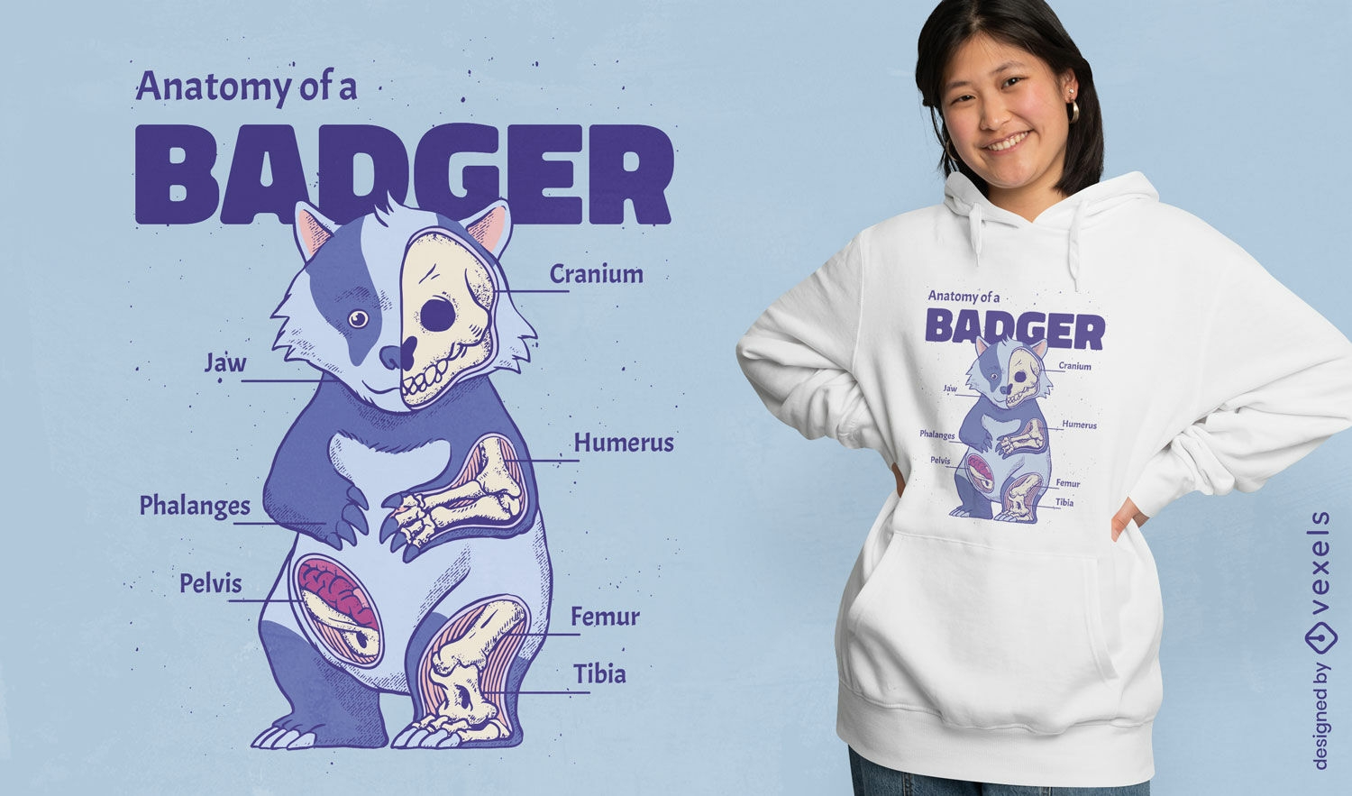 Badger animal anatomy t-shirt design
