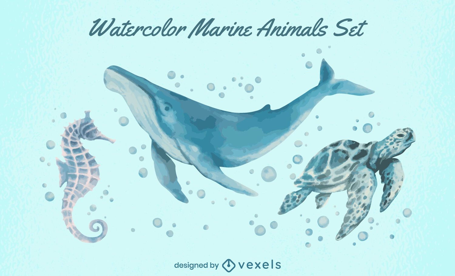 Marine animals ocean set