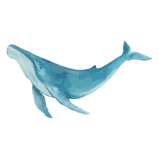 Baleia azul em estilo aquarela Desenho PNG