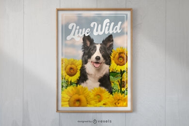 Border-Collie-Hund mit Sonnenblumen-Poster-Design