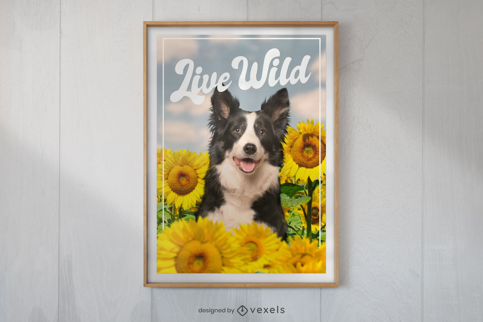 Cão border collie com design de pôster de girassóis