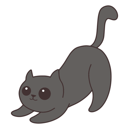 gato fofo agachado Desenho PNG