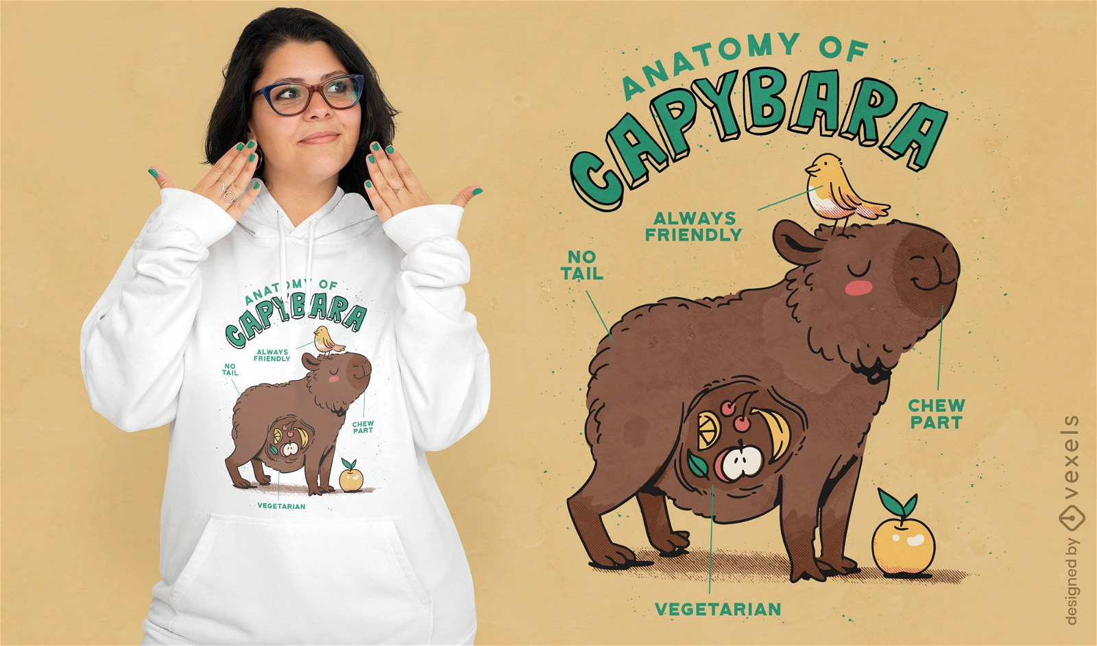 Anatomie eines Capybara-T-Shirt-Designs