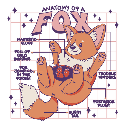  Funny depiction of the anatomy of a fox PNG Design
