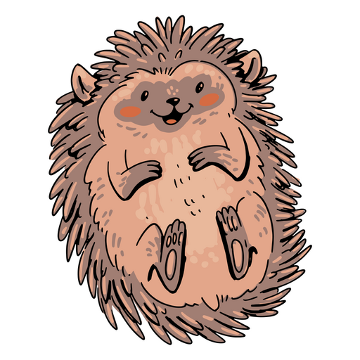 Cute porcupine lying on its back PNG Design