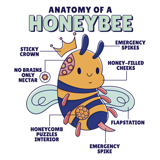 Honeybee anatomy color stroke PNG Design