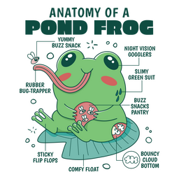 Trazo de color de anatomía de rana Diseño PNG