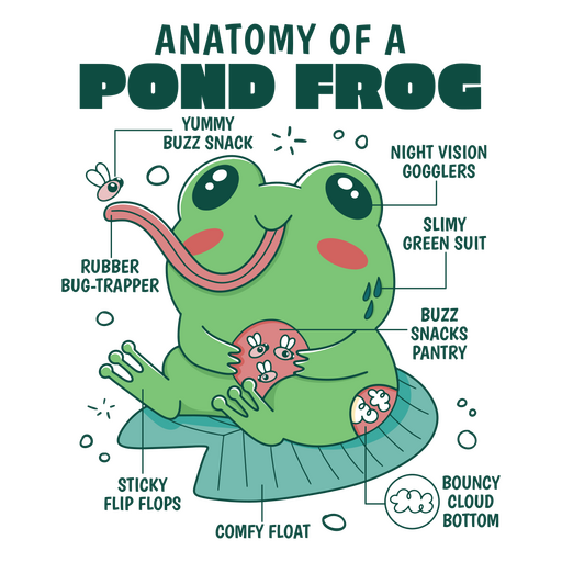 Frog anatomy color stroke PNG Design