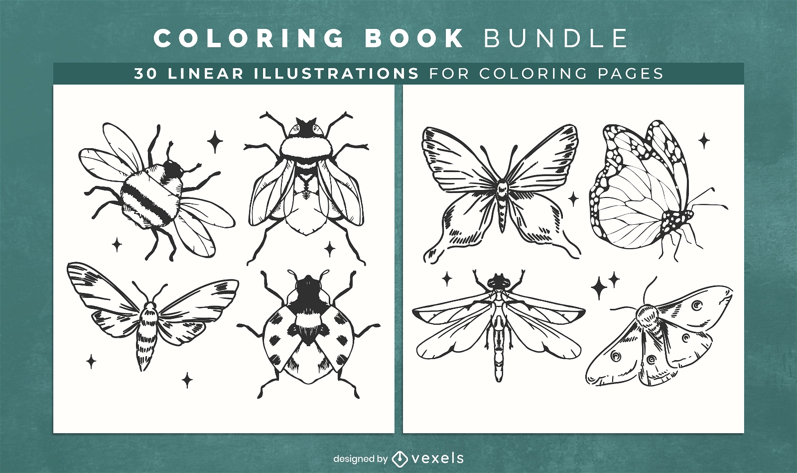 Insects and bugs coloring book KDP interior design