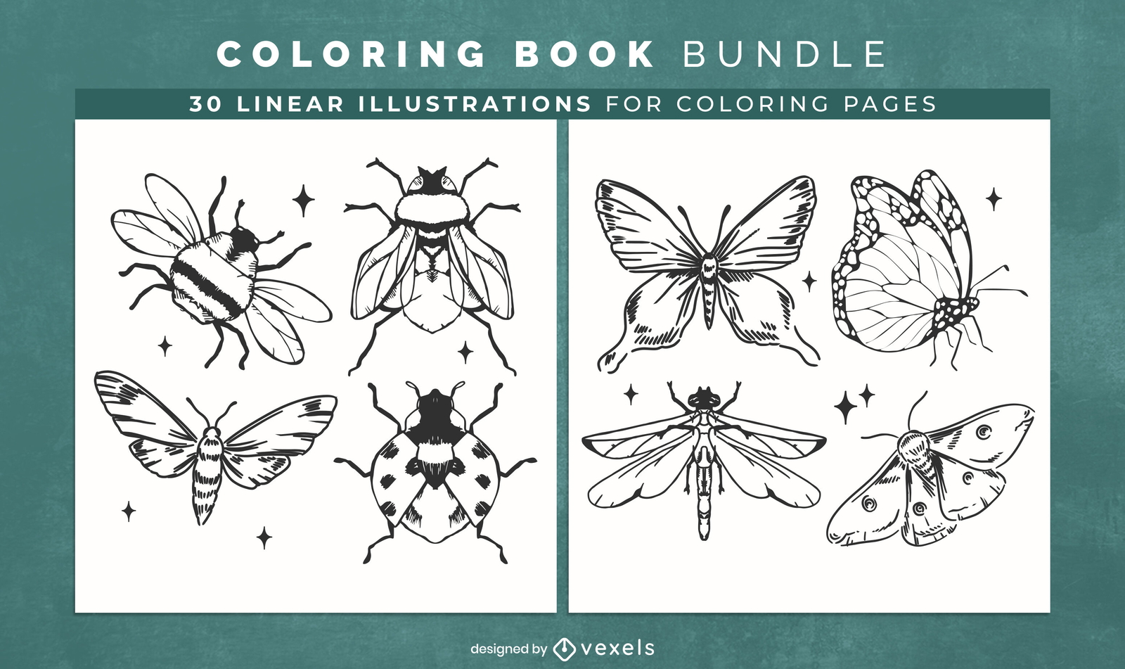 Libro para colorear insectos y bichos KDP diseño de interiores