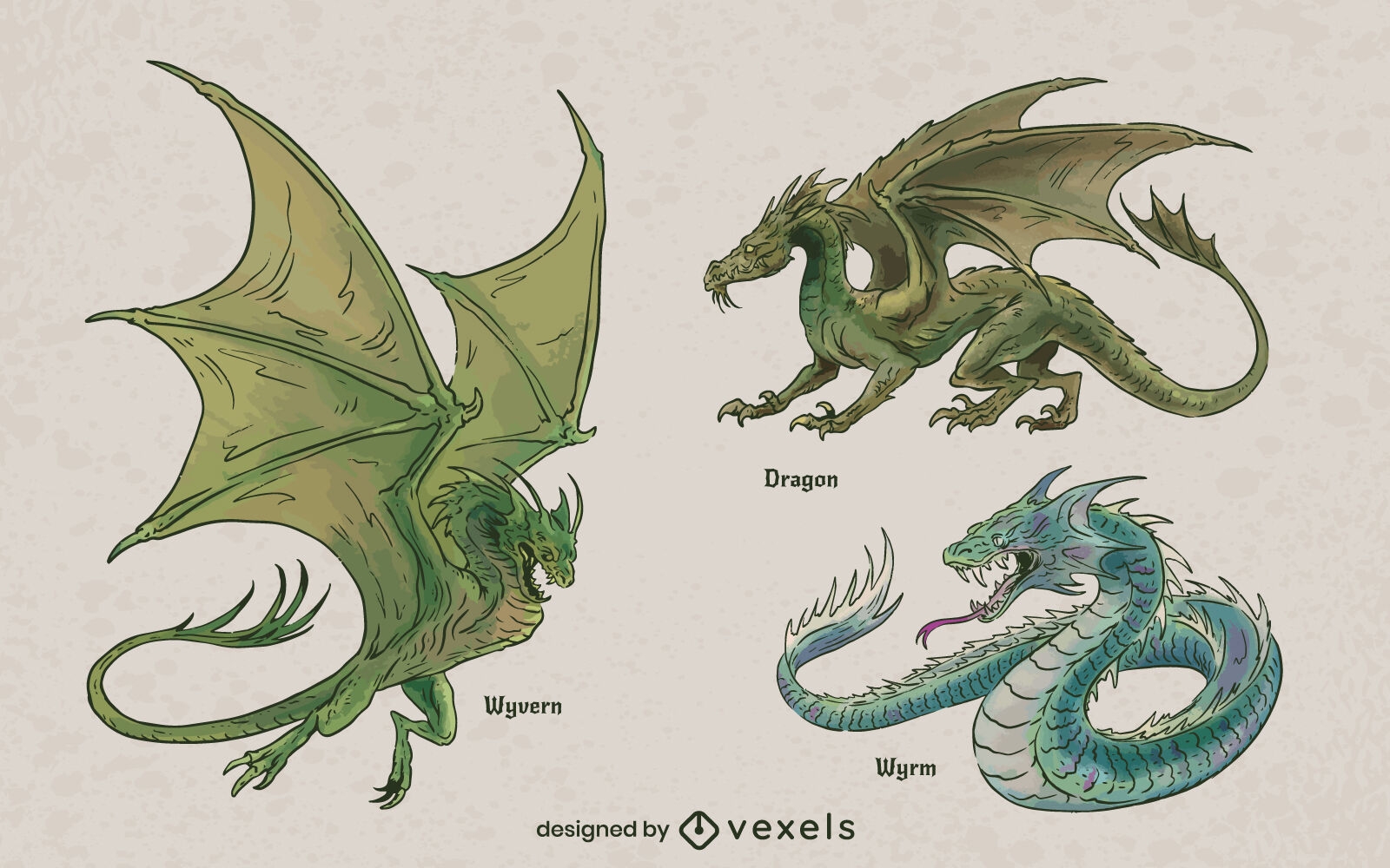 Conjunto de ilustraciones de dragones mitológicos.