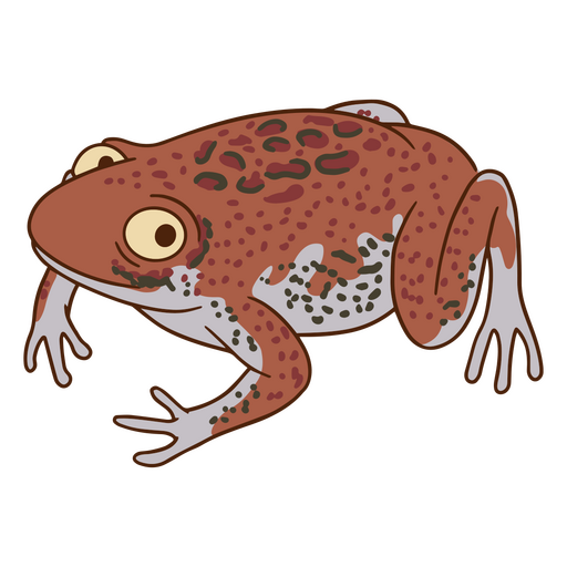 Cartoon frog sitting PNG Design