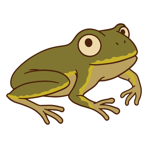 Green frog sitting and smiling PNG Design