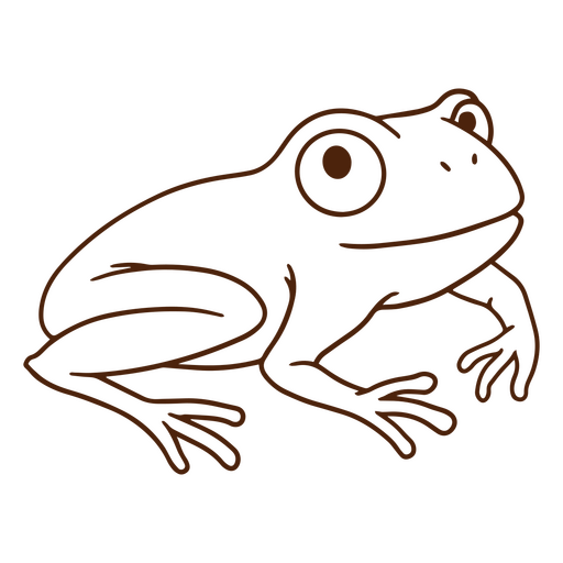 Brown frog PNG Design