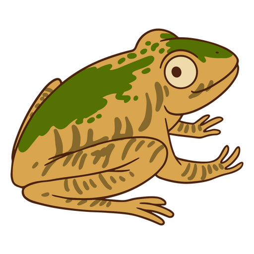 Cartoon yellow and green frog sitting PNG Design