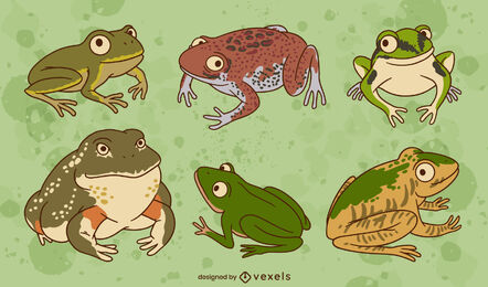 Froscharten Amphibientiere gesetzt