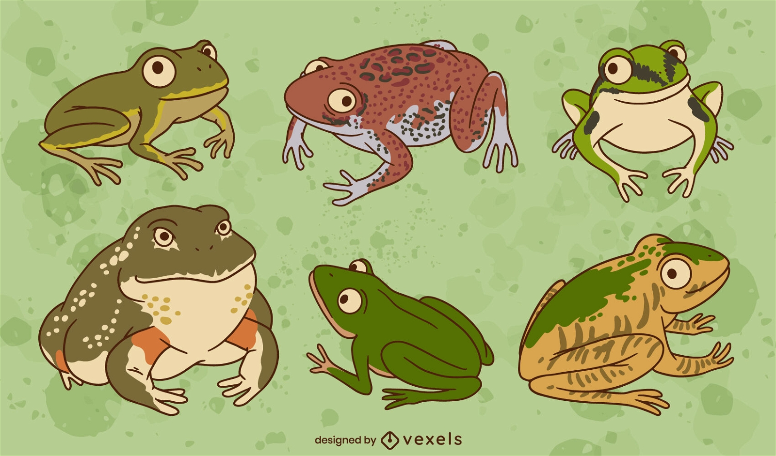 Frog types amphibian animals set