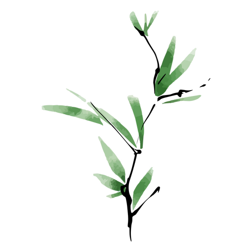 Aquarela de planta verde Desenho PNG