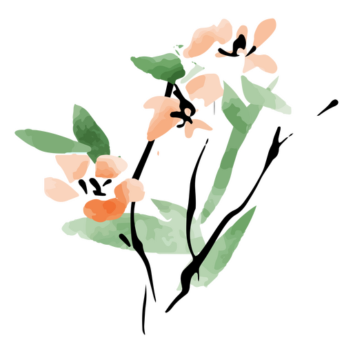 Ilustração em aquarela de flores Desenho PNG