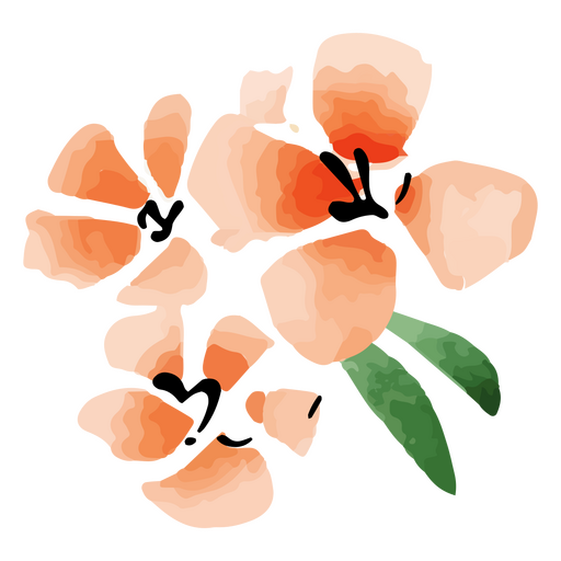 Chinesische Aquarellblumen PNG-Design